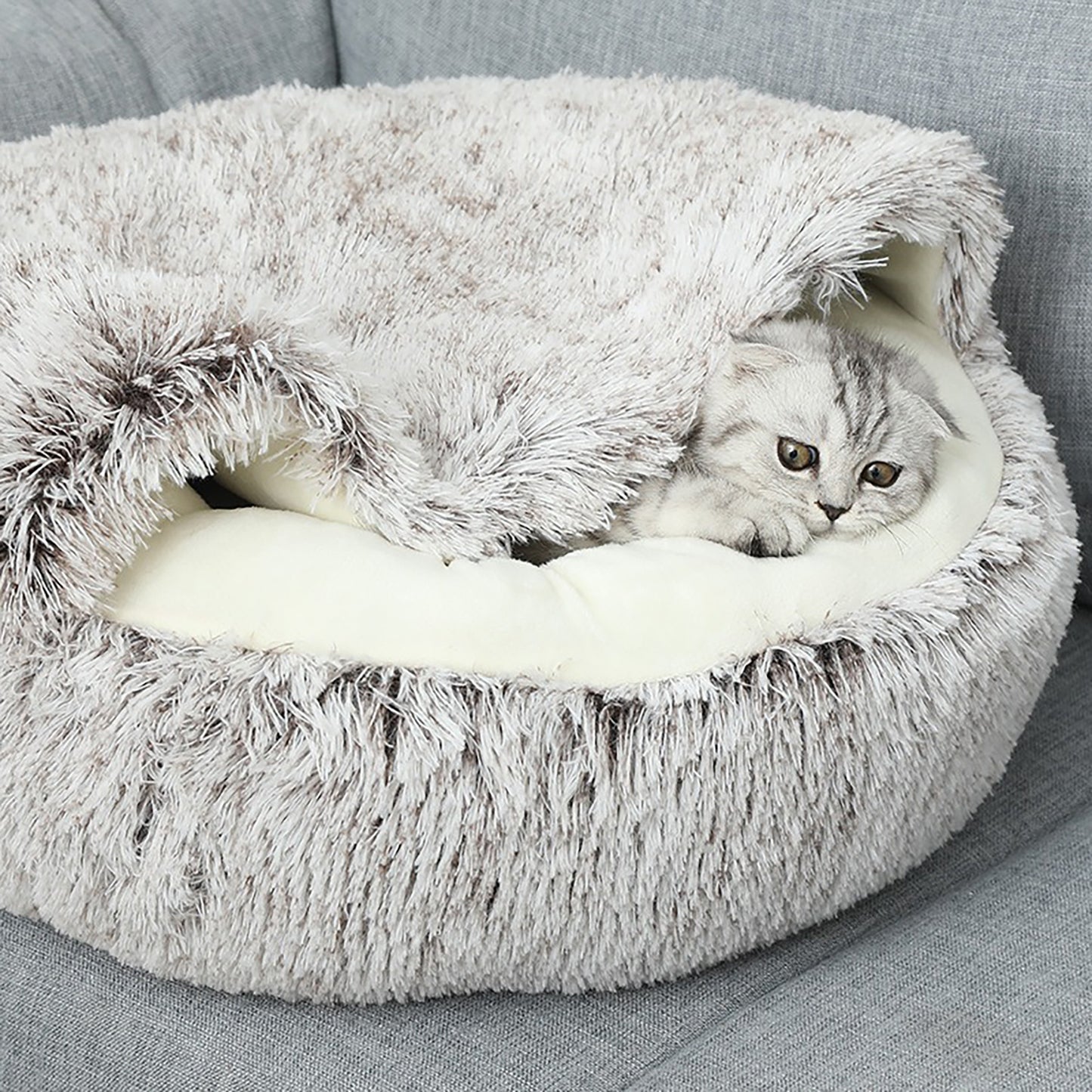 Misc Cozy bed for dogs and cats