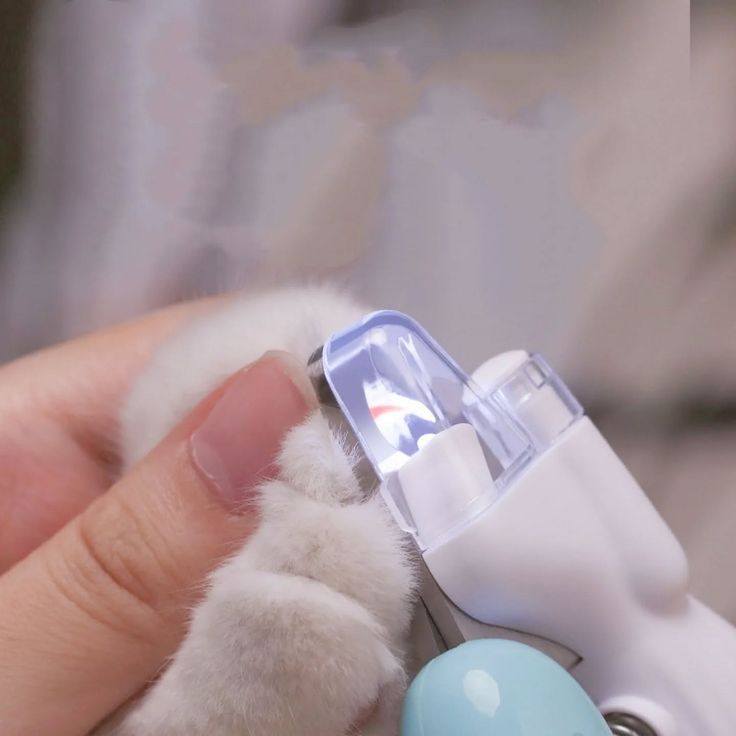 LED light glow pet nail clippers